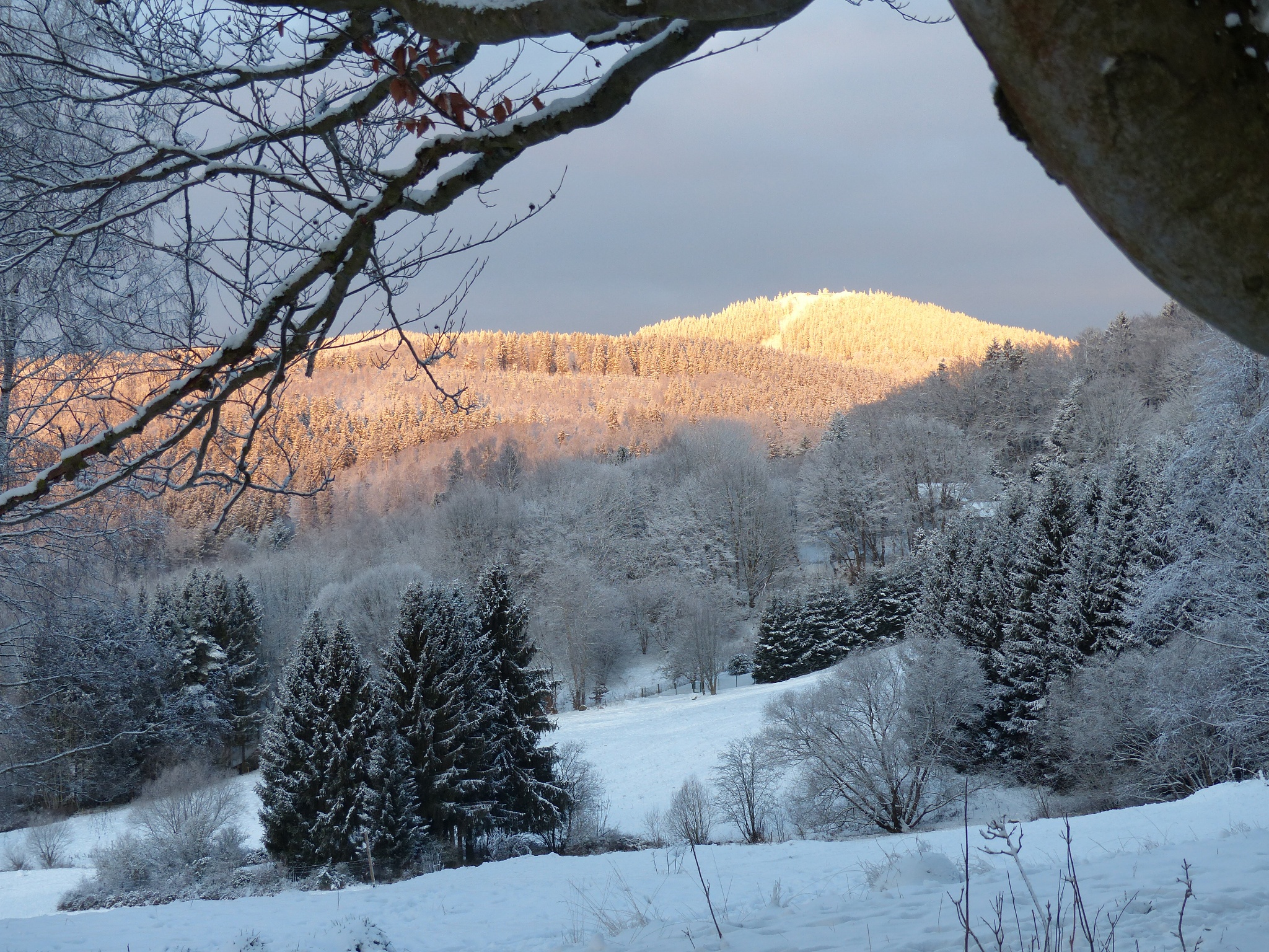Winterwanderweg Stachelsrain/Adamsrod