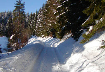 Winterwanderweg Ruppertstal